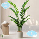 人工観葉植物 フェイクグリーン 造花 人工観葉植物 大型 軽量 オーナメント 人工観葉植物 インドア 雑貨 人工植物 玄関 室外 室内 ギフト フェイクフラワー 鉢植え インテリア飾り プレゼント おしゃれ フェイクグリーン shopcp(4)