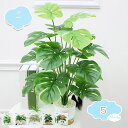 800円OFFクーポン ミニ観葉植物 卓上 鉢植え 人工観葉植物 インテリア 飾り 世話いらず 水やり不要 オフィス ホーム デコレーション フェイクフラワー 緑の鉢植え フェイクグリーン 鉢付き オフィス シルクフラワー デコレーション shopcp
