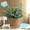 人工観葉植物 造花 フェイクグリーン 観葉植物 フェイク 造花 ミニ インテリア 贈り物 造花 インテリア グリーンミニポット グリーン 観葉植物 人工観葉植物...