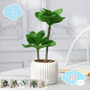 フェイクグリーン 観葉植物 人工観葉植物 造花 インテリア グリーン お世話不要 プレゼント 小さい 枯れない 造花 コンパクト ラウンドポット 丸型 イミテー...