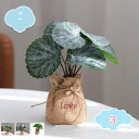 300円OFFクーポン 人工多肉植物 観葉植物 ミニ 置物 インテリア 小型 卓上サイズ オフィス 事務所の緑化 観葉植物 玄関 人工観葉植物 リビング 鉢植え 人工多肉植物 観葉植物 モンステラ アイビー 緑の鉢植え ミニポット 人工観葉植物 shopcp