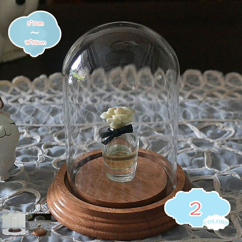 樂天商城 - ガラスドーム 円柱ディスプレイ インテリア UVカット ドライフラワー保存 モデル展示 玄関 リビング 模型 収集品 多用途展示 店舗什器 ガラスカバー デスク飾り ホビーグッズ展示ケース shopcp