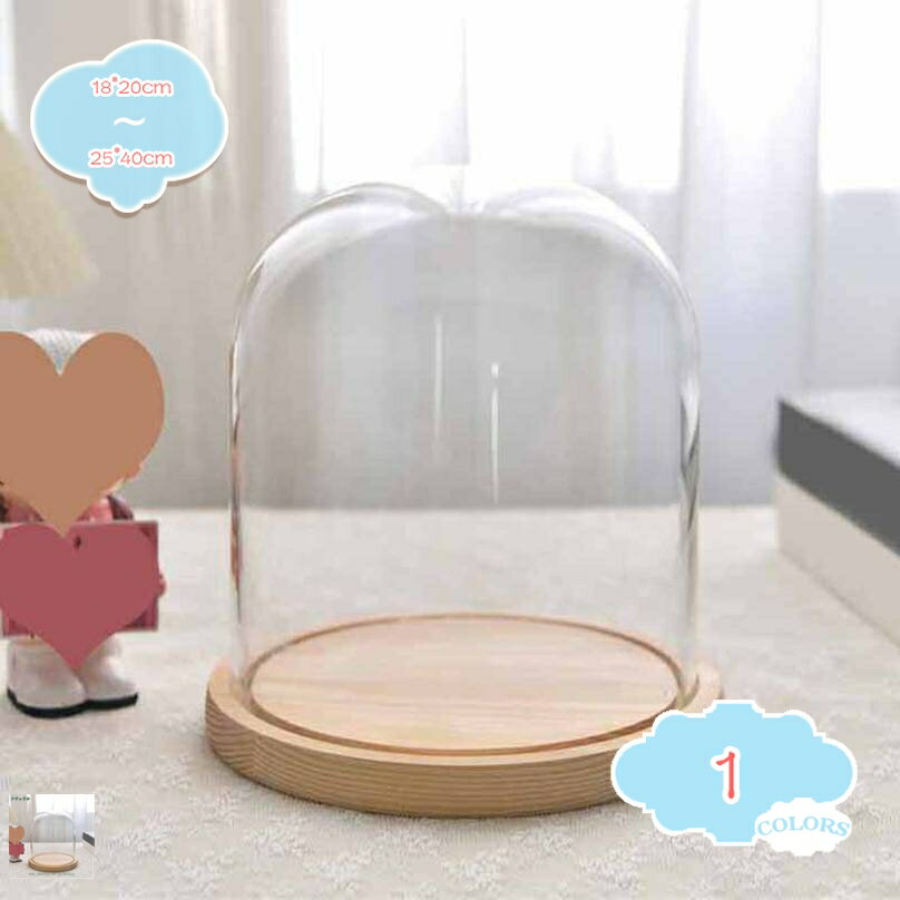1000円OFFクーポン ガラスドーム 展示ケース クリア 円柱 卓上ディスプレイカバー ミニ植物標本 DIY景..