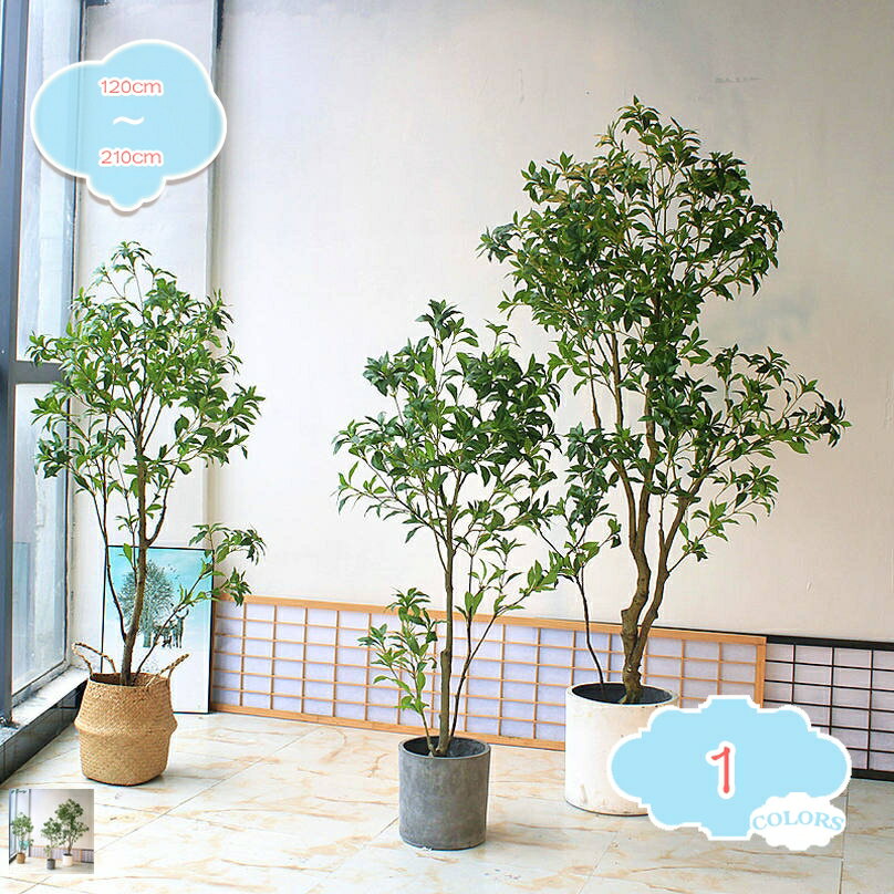 2000円OFFクーポン フェイクグリーン 