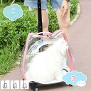 2000円OFFクーポン ペットキャリー ペットスーツケース ペットキャリーケース 猫 猫用 小型犬 犬 ペット キャリーバッグ キャスター付き 透明 おしゃれ 携帯やすい 手提げ 旅行 通院 電車移動 防災用 通気性 キャリーケース shopcp