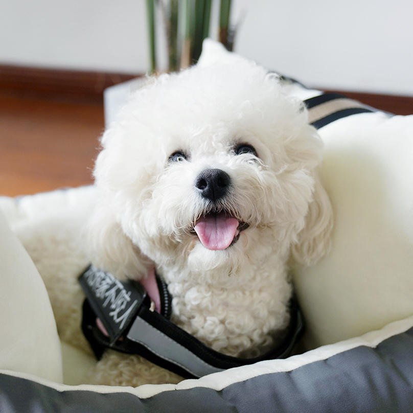 ドライブベッド 中型犬 犬 小型犬 防水 可愛い 犬用 ベッド キャリー ペットベッド ドライブボックス ペット ソファー 犬 車 ドライブ ベッド カーベッド 車用 キャリーバッグ カー用品 ペット用品 旅行 お出かけ 洗濯可能 shopcp