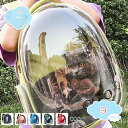 800円OFFクーポン 犬 猫 ペット リュック ペットキャリー 折り畳み式 猫用 犬用 ソフトクレート きゃりーバッグ 小型犬 小動物用 キャリー バッグ お...
