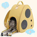 800円OFFクーポン ペットリュック キャリー 小型 犬 猫 折りたたみ ペットキャリー リュック キャリー バッグ メッシュ うさぎ 犬キャリーバッグ 猫キ...