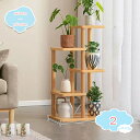 フラワーラック フラワースタンド 5段 幅(48cm)奥行き(24cm)高さ(89cm) 多肉植物 棚 花台 園芸ラック ガーデン 鉢植え 盆栽棚 園芸 花棚 ...