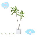 3500円OFFクーポン 人工観葉植物 フェイクグリーン フェイク 大型 フェイク植物 オフィス フェイクグリーン インテリア 室内 屋外 誕生日 新築/引っ越し祝い リアル 室内用 人工観葉植物 水やり不要 枯れない 鉢付き 大型 盆栽植物 人工観葉植物 shopcp