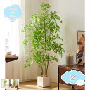 1650円OFFクーポン フェイクグリーン 人工観葉植物 アレカヤシ 観葉植物 フェイクグリーン 造花 人工植物 大型 アレカヤシ フェイクグリーン 大型 鉢付き 観葉植物 フェイク 人工観覧植物 人工観葉樹 シンプル リアル 室内 おしゃれ 水やり不要 shopcp