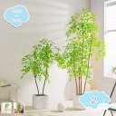 人工観葉植物 大型 おしゃれ フェイクグリーン 観覧植物 人工観葉樹 シンプル オフィス 室内 インテリア 人工観葉植物 お祝い 父の日 御祝 開店祝 室内 客間 寝室 ベランダ 事務室 ホテル 人工観葉植物 枯れない 人工観葉植物 shopcp(4)