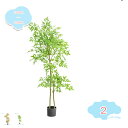 観葉植物 フェイクグリーン 大型 おしゃれ インテリア 人工観葉植物 かわいい リアル キッチン リビング ダイニング 寝室 室内用 人工観葉植物 インテリア ...