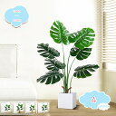 1650円OFFクーポン 人工観葉植物 フェイクグリーン 観葉植物 大型 インテリア おしゃれ ホテル ルーム お祝い 開店 開業祝い フェイクツリー プラスチック ナチュラル 斑入り 鉢植 フェイクグリーン 人工観葉植物 盆栽植物 フェイクグリーン shopcp