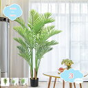 1650円OFFクーポン 人工観葉植物 大型 フェイクグリーン 大きい 大きめ ナチュラル 人工観葉植物 フェイクグリーンインテリア フェイクグリーン植物 造園 ホテル オフィス 室内 飾り用 茎付き トロピカル植物 爽快 プレゼント 人工観葉植物 shopcp