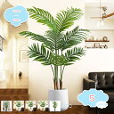 人工観葉植物 大型 フェイクグリーン 観覧植物 人工観葉樹 シンプル オフィス 室内 インテリア 大型 おしゃれ 人工観葉植物 お祝い 父の日 御祝 開店祝 室...
