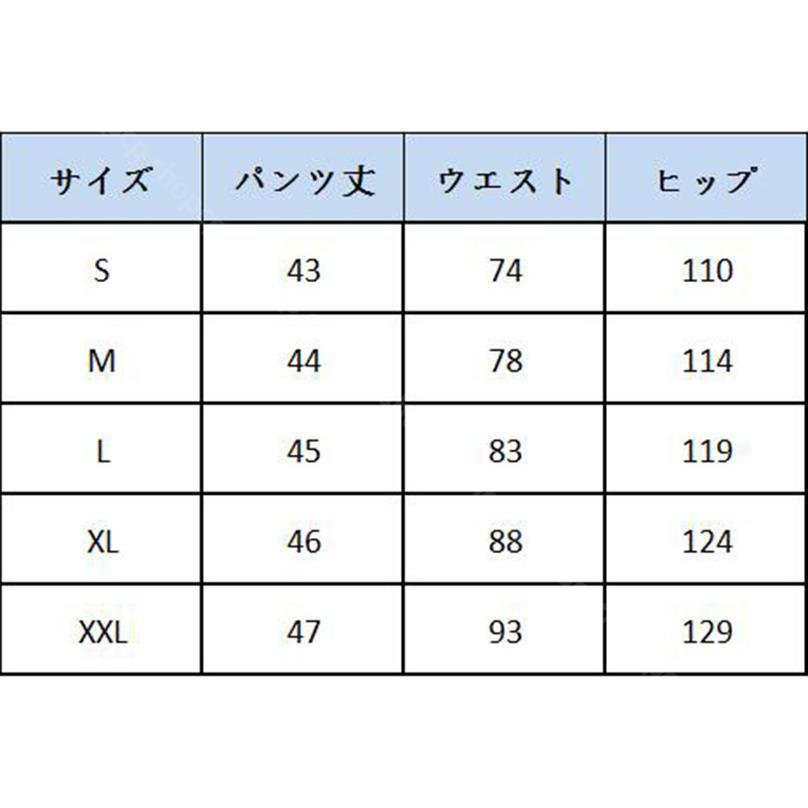メンズ 水着 海パン サーフ ビーチ サーフパンツ 水着メンズ 普段着 水陸両用 海水パンツ インナー付き メンズ サーフ サーフパンツ 水着 高校生 10代 20代 30代 40代 スポーツウェア 速乾パンツ shopcp