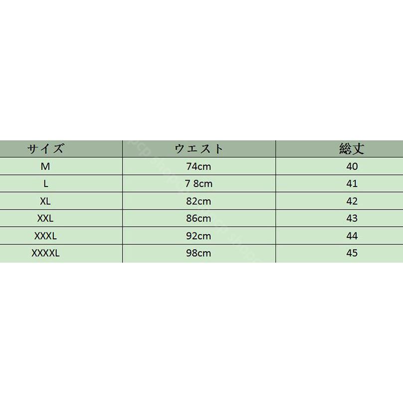800円OFFクーポン 水着 メンズ サーフパンツ ボードショーツ ボーダー柄 短パン おしゃれ 水着 メンズ サーフパンツ トランク 夏 海水パンツ 膝丈 インナー付き 水陸両用パンツ shopcp
