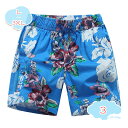 800円OFFクーポン 水着 メンズ サーフパンツ 海水パンツ ボードショーツ スイムウェア 水陸両用 速乾 ビーチパンツ 海 川 プール 大きいサイズ 速乾 ショートパンツ スポーツ 部屋着 shopcp
