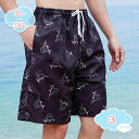300円OFFクーポン 水着 スポーツ 海水パンツ サーフパンツ 海水浴 プール 温泉 ハーフパンツ サーフィン ウエストゴム メンズ 海パン 海外旅行 夏休み 花柄 総柄 大きいサイズ ポケット付き リゾート プール shopcp
