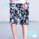 800円OFFクーポン サーフパンツ メンズ 水着 速乾 おしゃれ かっこいい ボードショーツ ハーフパンツ 水陸両用 ストレッチ 花柄 男性 紳士 プレゼント...