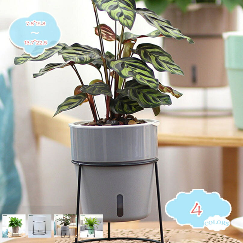 500円OFFクーポンプランタース...