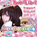 yzy|Cg10{zJR AVXgVV ps[ f[y16zx xȂ 14.5mm AssistChouChou Puppilla 1day RXv nEB J[ R^Ng 