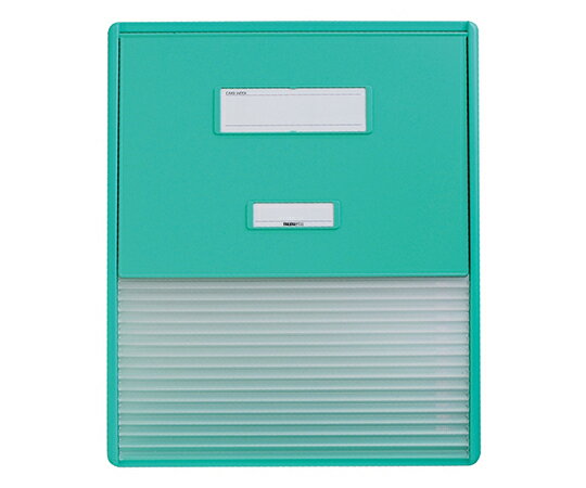 【無料健康相談付】【ナビス】カードインデックス　HC114Cグリーン