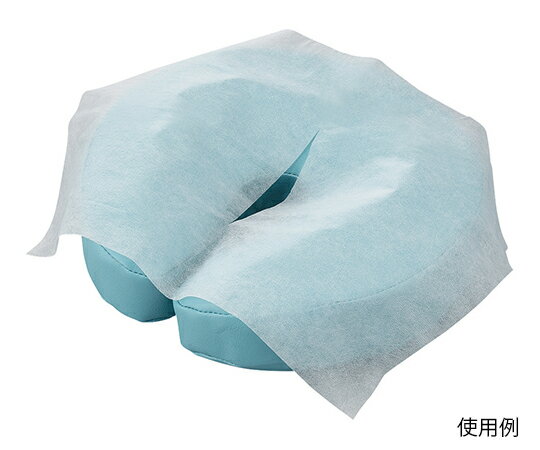 ●型番：DFP-40●幅×長さ(mm)：280×400●入数：1箱(500枚入)●材質：不織布(切れ目あり)