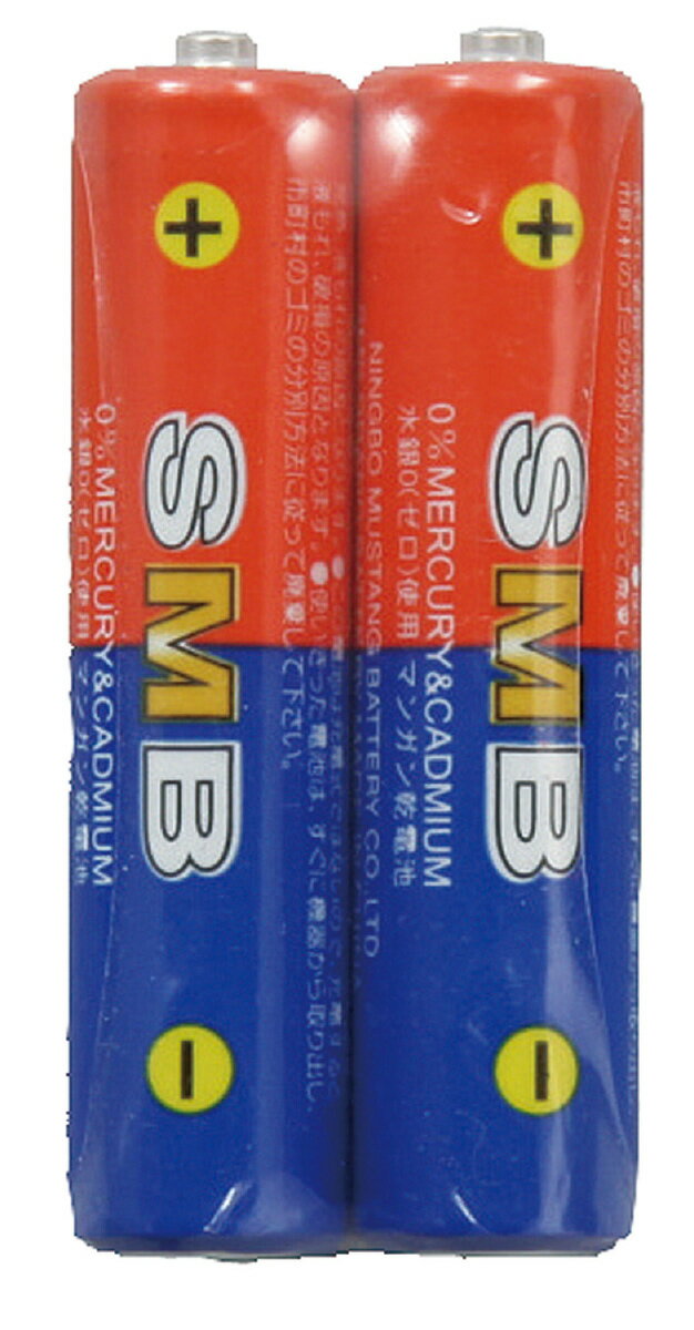 アーテック(Artec） 理科教材電池 単4(2本組) 理科教材・備品 電池