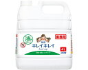 ライオンハイジーン 株式会社 キレイキレイ薬用ハンドソープ 4L(4)