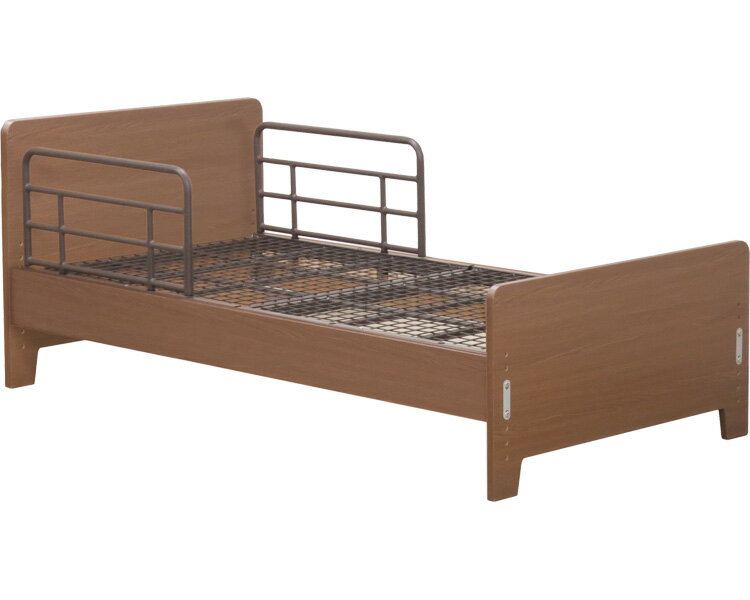 株式会社 グランツ *シエントN　フラット　モーター無　SR2本付 *G-CTN F0R91B　ブラウン