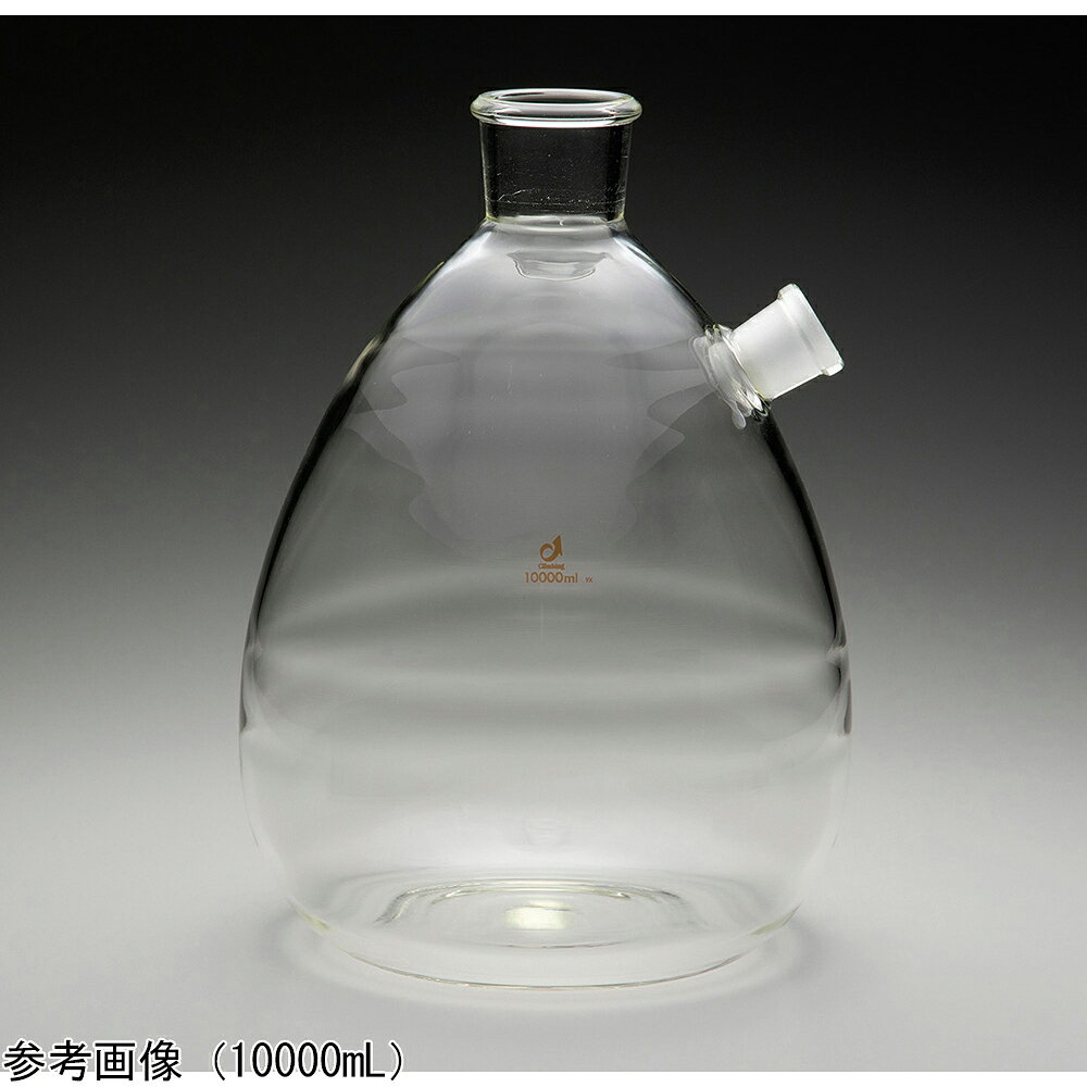 吸引ろ過瓶（ゴム栓口）2000mL 64030-01
