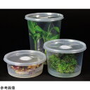【おまとめお得な2個セット】PhytoTechnology Laboratories LLC 植物培養容器(PhytoCon)ベント付きフタ 10個入 C17...