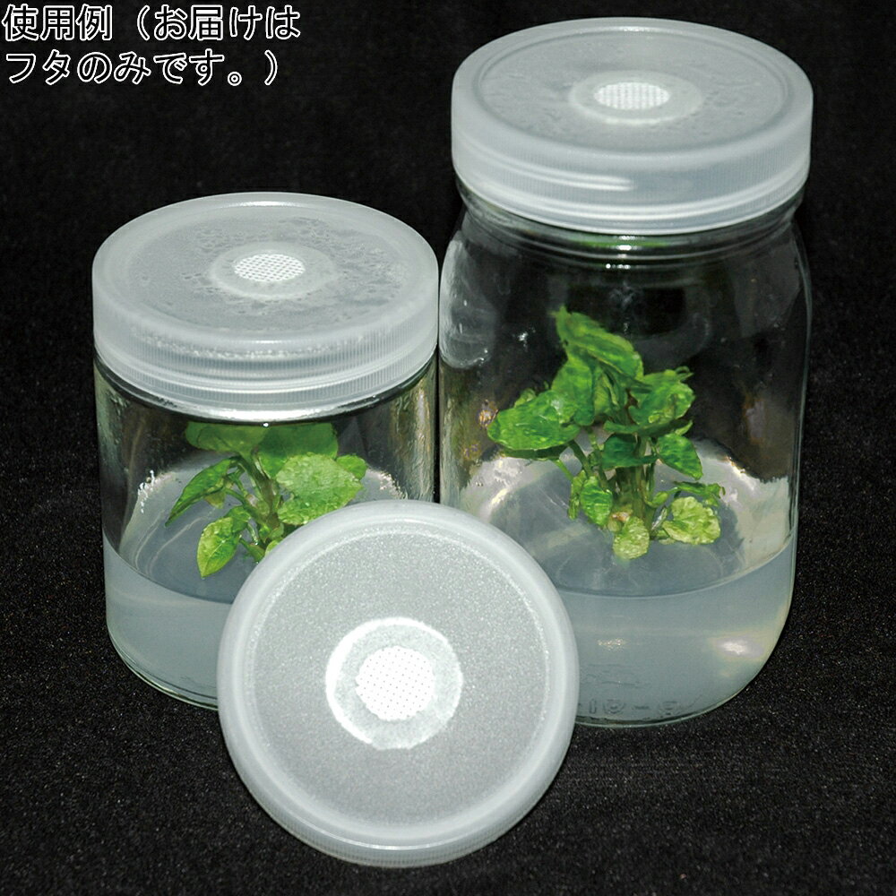 植物培養容器 ベント付きフタ 10個入 C170-10EA PhytoTechnology　Laboratories 　LLC