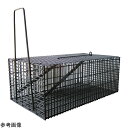 コンパル ネズミ捕り器 角型ハウス アサノヤ産業