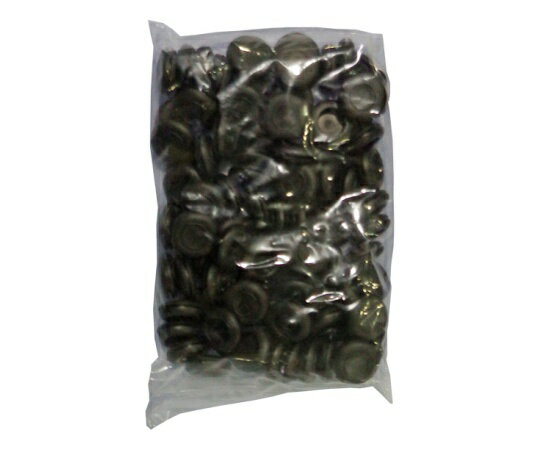 ��若��֥å��� �����֥�����ݸ�� �� 19�� GB 19 JAPPY