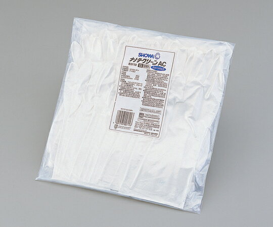 ʥΥƥ꡼ACʥ쥿ե륳ȡS 1ޡ10 E0100