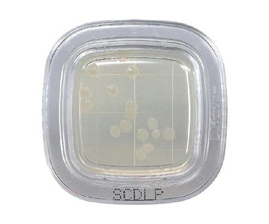 Shop de clinicŷԾŹ㤨֤ڤåRDDSCDLPŷ PD0024 ɸءפβǤʤ4,008ߤˤʤޤ