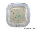 ぺたんチェックRDD X-GAL寒天培地 PD0006 栄研化学