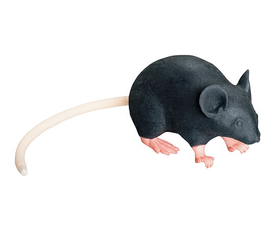 マウス型実習用動物シミュレータ　Mimicky（R） rrrmm01 三協ラボサービス■特徴■●保定・経口投与・尾静脈投与・腹腔内投与（保定まで）の模擬実習や練習に使用でき、実験動物の苦痛軽減につながります。●生体マウスに近い感触で、リアリティのある練習が出来ます。■仕様■●サイズ（mm）：約70×39×31　※尾部除く●材質：胴体部・尾部/軟質シリコン、足部/ナイロン、尾部カプセル/プラスチック●尾長：約130mm（露出部約110mm）●重量：28g（尾部含む）●セット内容：本体・専用潤滑剤（50mL）・ベビーパウダー（100g）