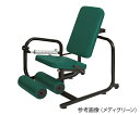 パワーリハビリ アイボリー TB-781 高田ベッド