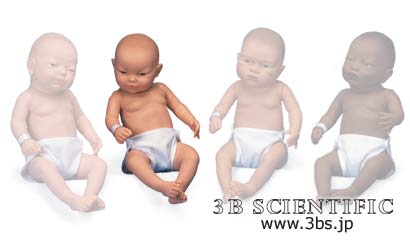 【送料無料】世界基準 3Bサイエンフィティック社アジア人系ベビーケアモデル（女児） 人体模型