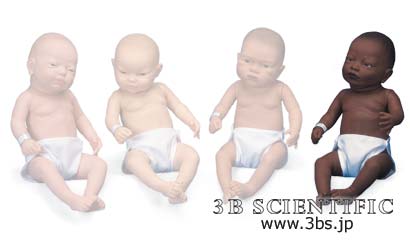 楽天Shop de clinic楽天市場店【送料無料】世界基準 3Bサイエンフィティック社アフリカ人系ベビーケアモデル（女児） 人体模型