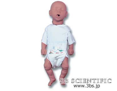 【送料無料】【無料健康相談 対象製品】世界基準 3Bサイエンフィティック社新生児心肺蘇生法マネキン 人体模型