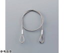 日本緑十字社 ステンレスカットワイヤー ワイヤー305BR 両端リング加工 3.0mmΦ×500mm リング内径15mmΦ 2本1組 1組(2本入) 19711...