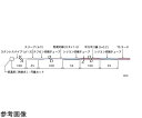 安立計器 低温用温度センサ BRシリーズ ISO書類一式付き -100〜200℃ 100mm 平行平打線100mm Eタイプ 1本 BR-01E-1-TS1-A...