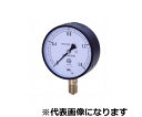 第一計器製作所 IPT一般圧力計 A型 φ75 G3/8 0〜70MPA 1個 AT3/8-75:70MPA(4)