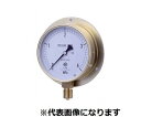 第一計器製作所 HNT汎用連成計 耐振用 B型 φ100 G3/8 -0.1〜2MPA 1個 BVT3/8-100:2/-0.1MPA(4)