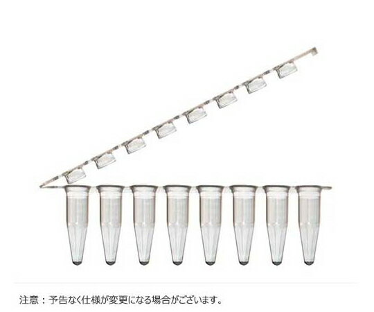 BMBio　ST 8連PCRチューブ ＆ 8連チューブキャップ フラットタイプ ヒンジ付 クリア　1000本入 1個(1000本入) BMSC0200260